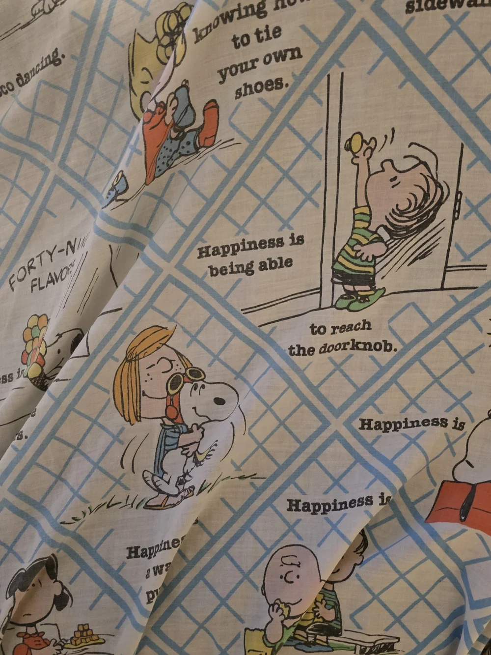 Vintage Peanuts Snoopy Happiness Is Twin Fitted Sheet Charlie Brown Blue Plaid